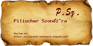 Pilischer Szonóra névjegykártya